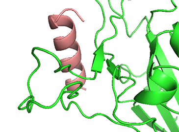 Preclinical Candidate Compounds (peptide drugs)